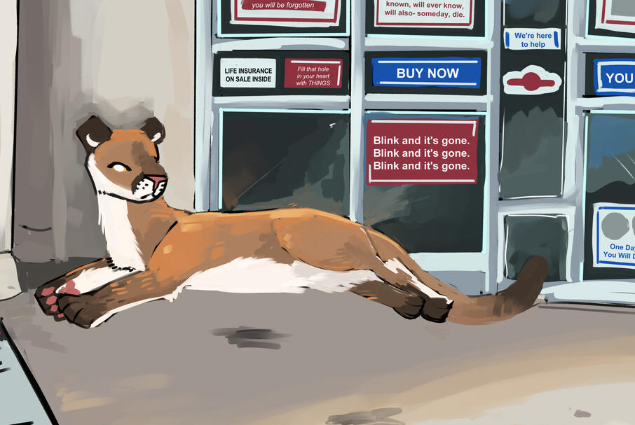 Walgreens