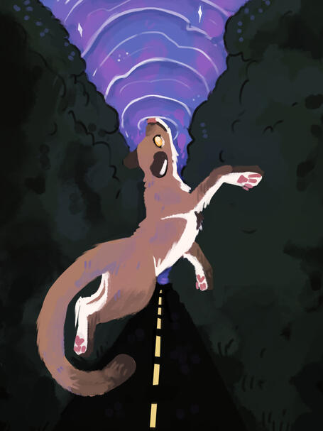 The Road