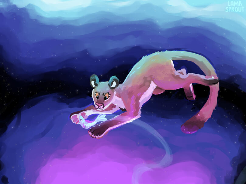 Space Fishing