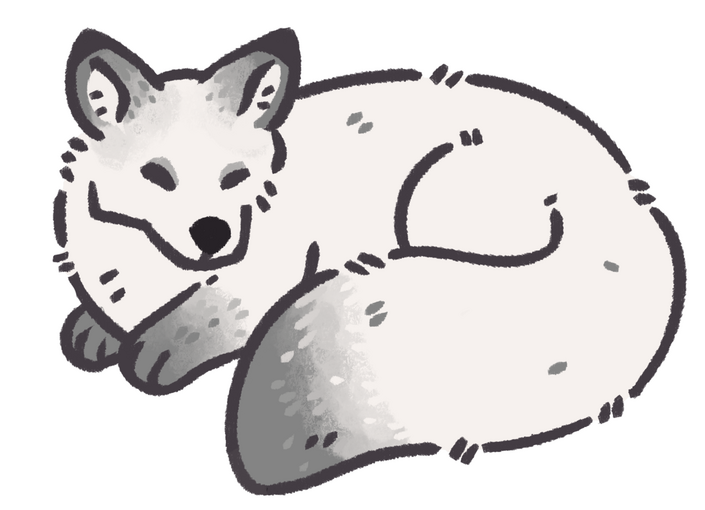 Winter Fox