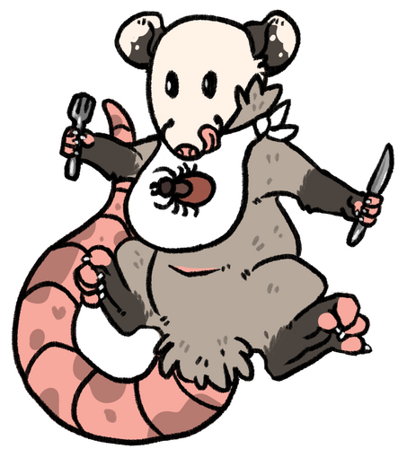 Possum